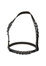 Halter Buckle Harness Plus