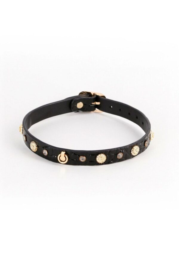 Alina Collar